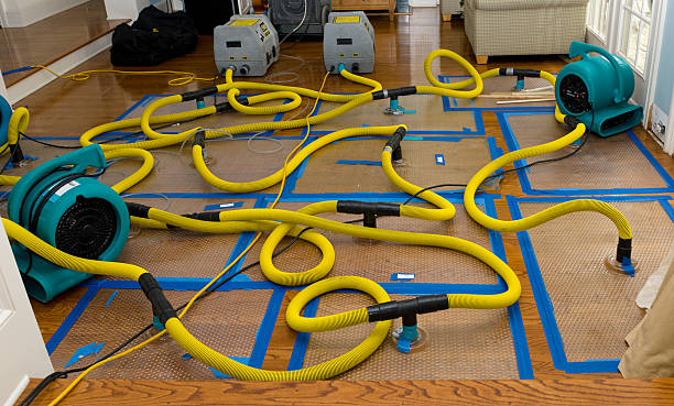 Professional Flood Damage Restoration technician working in Hackleburg, AL